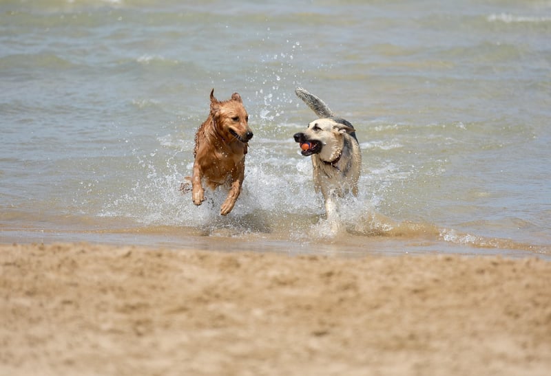 Beach Bliss
