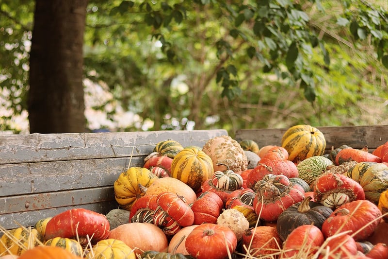 Autumn Harvest Wedding